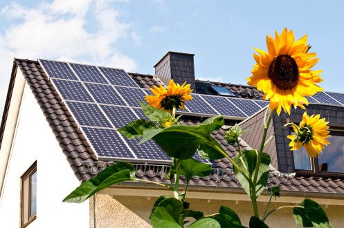 Solar panels-497x330.jpg